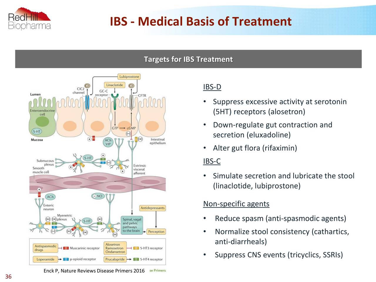 Redhill Biopharma RDHL R D Day On BEKINDA Acute Gastroenteritis And redhill-biopharma-rdhl-r-d-day-on-bekinda-acute-gastroenteritis-and